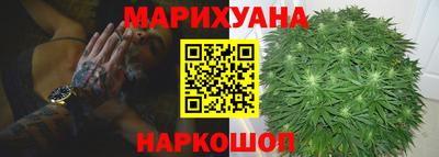 шишки Шахты